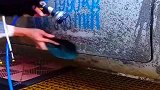 头一回收到这么难洗的车，太难了