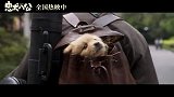 《忠犬八公》观全家福预告温情戳心 小狗的眼中永远只有家人
