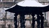 给自己一个信仰，不必一路慌张。心安神定，由弱而强。