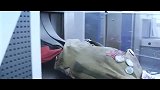过个安检都开了挂了的吗？