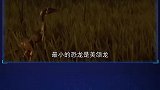 4件关于恐龙你不知道的事