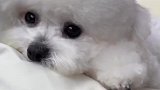 忧郁的气质和这完美的身材