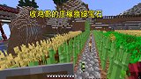我的世界联机80：小帕为了刷绿宝石，连鸡哥家的庄稼都收了