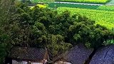 待我了无牵挂，从此归隐天涯，良田草屋为家，了却人世繁华