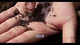 胖姐费九牛二虎之力，把5斤土豆堆成“小山”，一口咬下去，值了