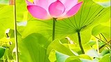 生活很美，记得微笑。好好生活，快乐相遇。