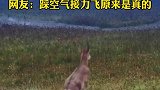 北山羊群排队渡河，网友：踩空气接力飞原来是真的