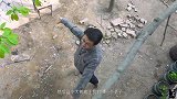 找来一个大磨盘当桌子，再来一份香椿饺子品尝春天的味道