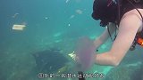 潜水员潜水时，把嘴巴张开后，居然跑进去了奇怪生物