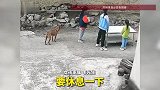 牛棚突然倒塌，三名儿童飞奔远离惊险躲过！家长：孩子们受到惊吓人无大碍