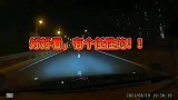 逆行还不开灯，把马路当自家客厅了
