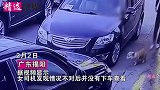 泪目！车行一小狗遭女司机碾压致死，另一小狗伤心欲绝