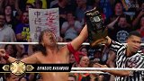 WWE-18年-从罗林斯到布莱克 盘点所有获得过NXT冠军的选手-专题