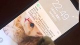 等待你回信息的时候，像极了爱情情人节