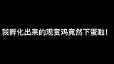 这两颗蛋到底是谁下的呢？