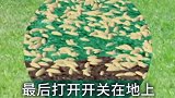 你见过可以喷出来的草坪吗？涨见识了