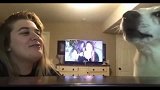 主人学狗狗说话，狗狗气得直接一脚扫过来
