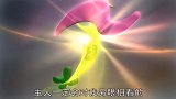 易乐乐诚心道歉