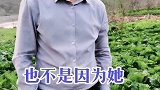 敢找情人的女人，是因为她过的不幸福，我说的对吗