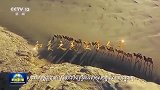 《平“语”近人——习近平喜欢的典故》（柬埔寨语版）在柬埔寨主流媒体播出