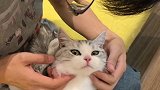 矮油抬头的样子像极了爱情 萌宠