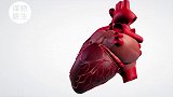 心脏毛病怎么检查？这份“心脏检查指南”要收好！ 医学科普  健康   涨涨涨涨涨知识
