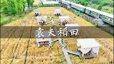 一粥一饭，当思来之不易