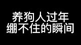 过年养狗人绷不住的瞬间