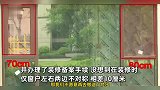 新房装修却因窗户宽度左右不对称被物业叫停？业主当场发飙：仅差10厘米