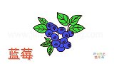 水果简笔画大全，画蓝莓简笔画