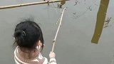 伤害性不大侮辱性极强，这样都能钓到鱼，真想把我的鱼竿给砸了！