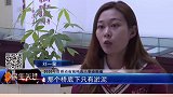 2020年度“感动省城”十大人物候选人事迹展播，见义勇为 女硕士——刘一泉。石家庄 感动省城 点赞