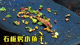 在海边捡到一条咸鱼干，好奇地拿回家烤了一下，这味道好奇妙