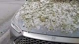 网友拍下街头一幕，与落叶并在的还有停车条