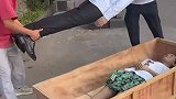 一对蜡像夫妻！就是这放蜡像的盒子有点不吉利吧
