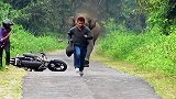 路过的车辆，经常遭此大象“打劫”，大象：此路是我开！