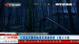江苏宜兴暴雨致景区滑道车相撞3死25伤