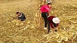 明明是来帮忙的最后替别人背黑锅！