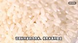 米里含肉！新型组合食品实现“米肉合一”，我国成功研发出猪肉米、鸡肉米