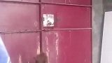狗狗好厉害自己开门