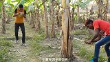 歪果仁的农村生活本想见义勇为，奈何让自己也陷入了困境！