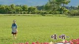 丽江的听花谷，只有亲眼见过才知道有多美