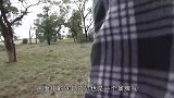 爱犬惨遭袋鼠锁喉，主人上去就是一个右勾拳，袋鼠顿时傻眼了