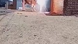 不是说公牛不会漏电吗，这怎么还开始干电焊了