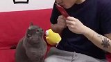 给闹闹发红包被嫌弃了！