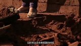河北获鹿县挖出古墓：造砖厂被封锁，只因工人哄抢一些青铜国宝