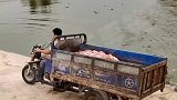 高风险行业，所以这就是为什么鳄鱼肉这么贵的原因啊