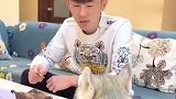 网红哈士奇开心考试成绩太差了，结果主人还奖励了一个鸡腿