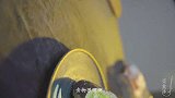 牛油果这样吃，“饭”圈女孩最爱！