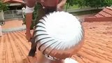你知道平时看到的屋顶的圆球是什么吗
